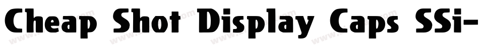 Cheap Shot Display Caps SSi字体转换